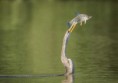/album/galeria-de-fotos-pagina-inicial/national-geographic-traveler-photo-contest-2013-16-600x423-jpg/