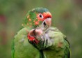 /album/galeria-de-fotos-pagina-inicial/national-geographic-traveler-photo-contest-2013-18-600x421-jpg/