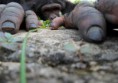 /album/galeria-de-fotos-pagina-inicial/national-geographic-traveler-photo-contest-2013-19-600x424-jpg/