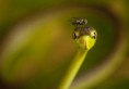 /album/galeria-de-fotos-pagina-inicial/national-geographic-traveler-photo-contest-2013-20-600x418-jpg/